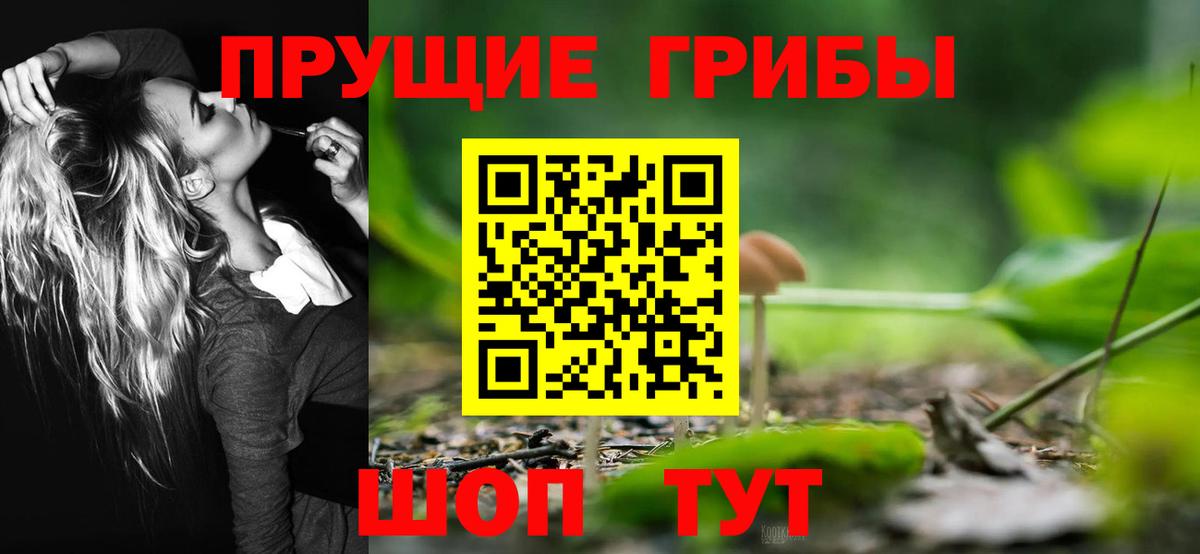 Медногорск  Псилоцибиновые грибы прущие грибы  Вход с VPN 
